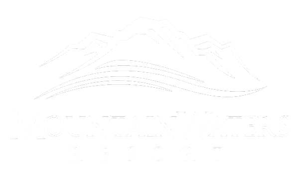 light logo